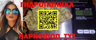 не бодяженный Новозыбков