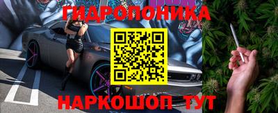 бошки Новодвинск