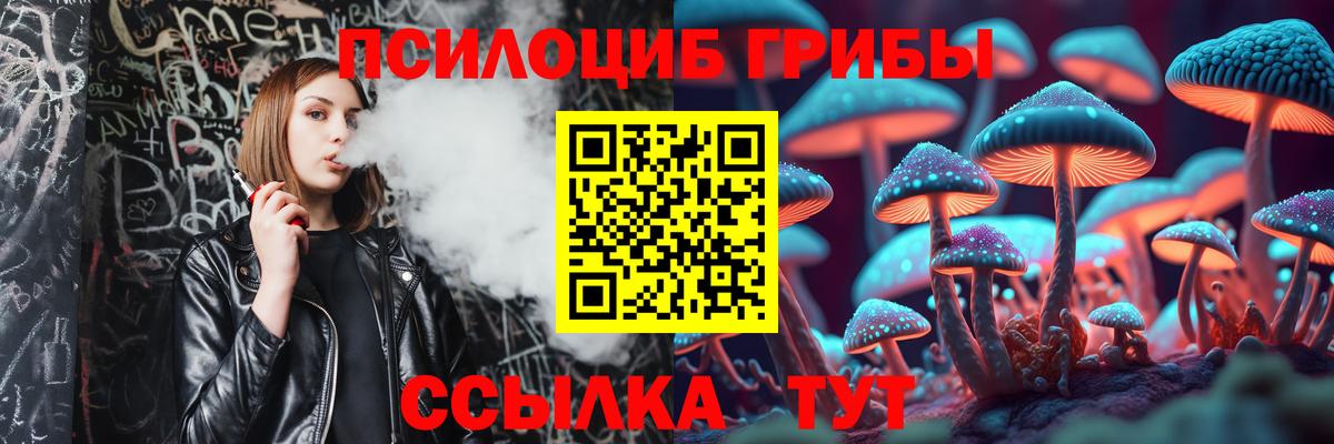 Галлюциногенные грибы MAGIC MUSHROOMS Алатырь